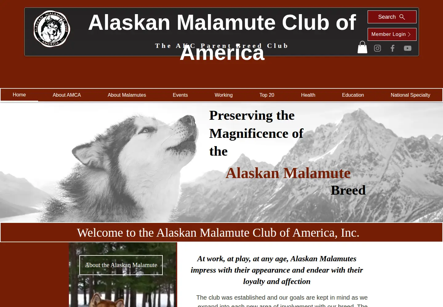 Screenshot of alaskanmalamute.org
