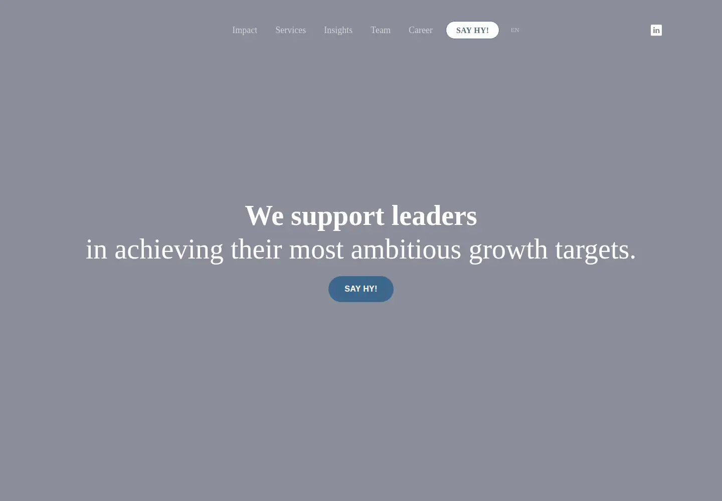 Captured homepage of hy.co in the current scan