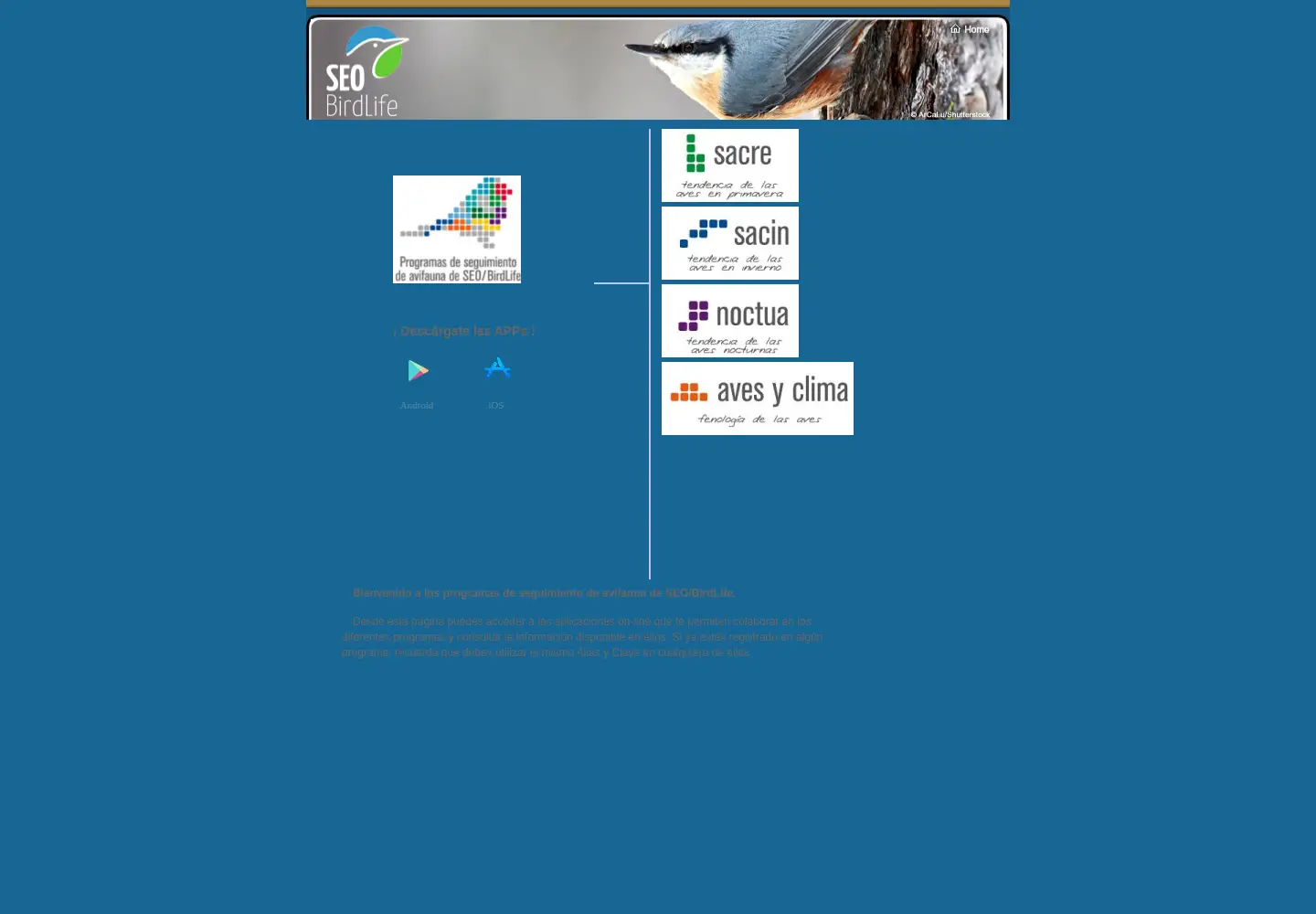 Screenshot of seguimientodeaves.org