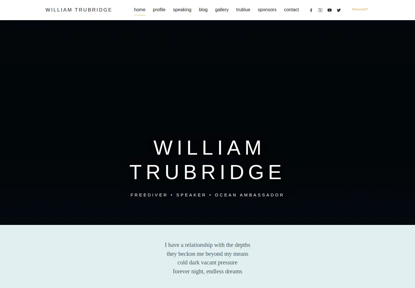 Captured homepage of williamtrubridge.com in the current scan