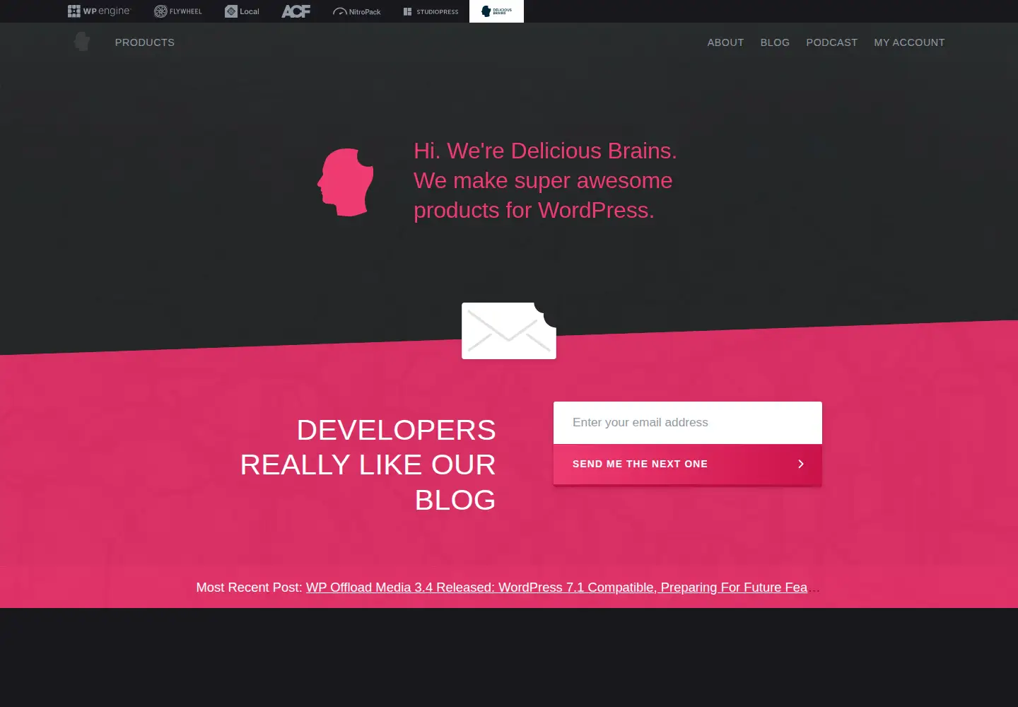 Screenshot of deliciousbrains.com