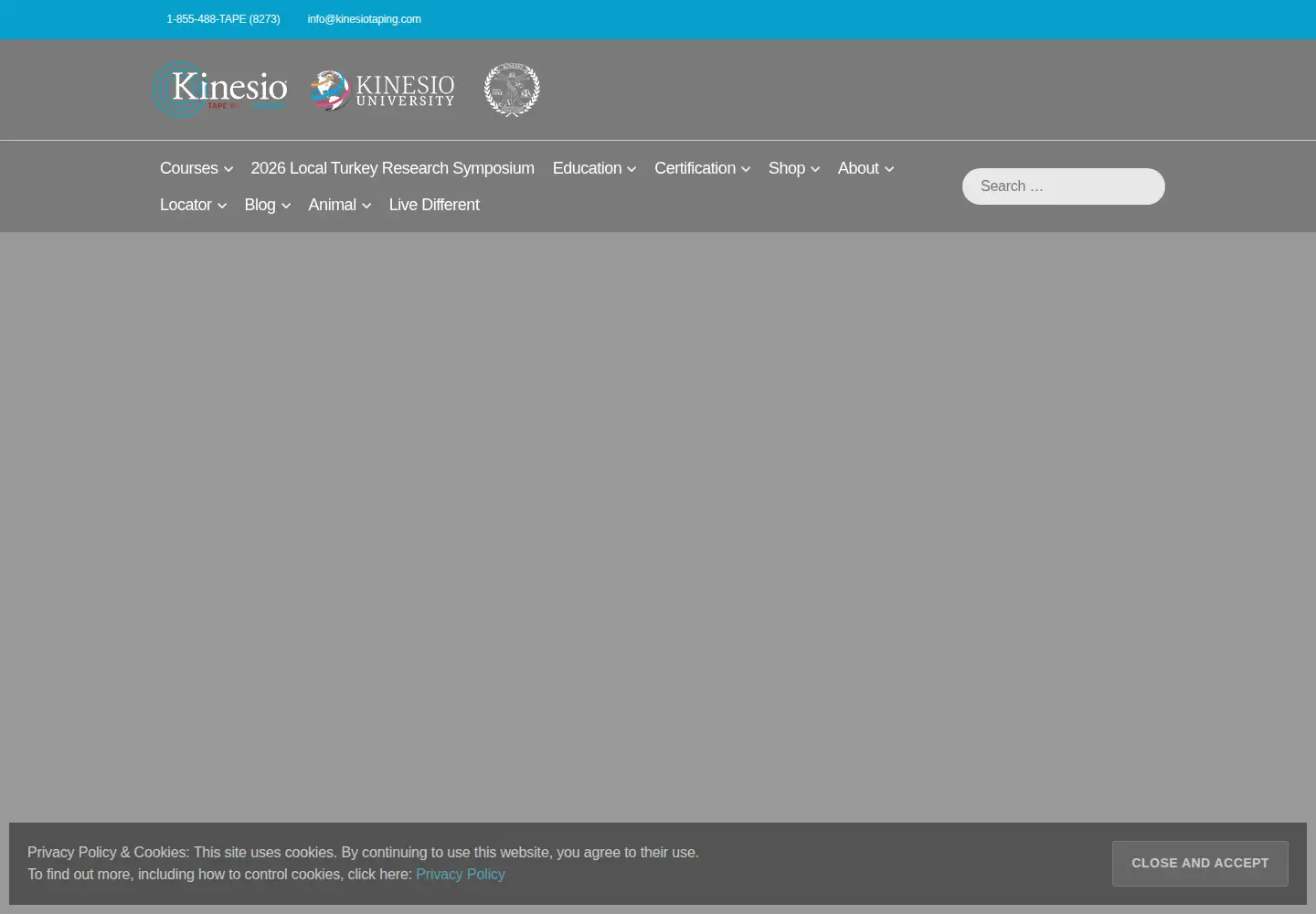 Screenshot of kinesiotaping.com