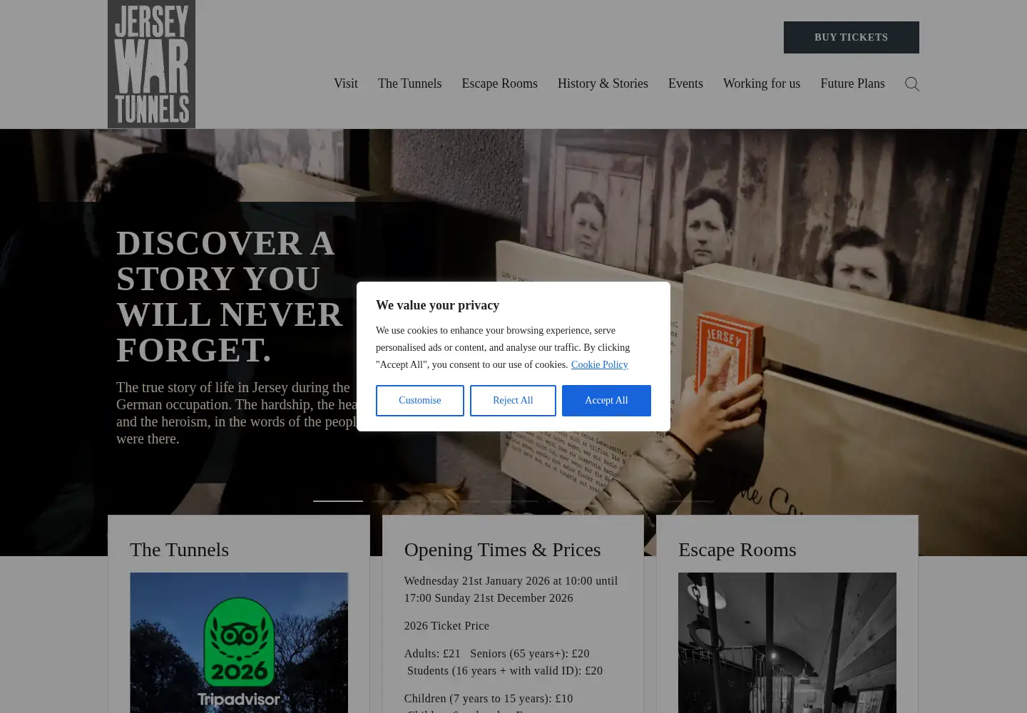 Captured homepage of jerseywartunnels.com in the current scan