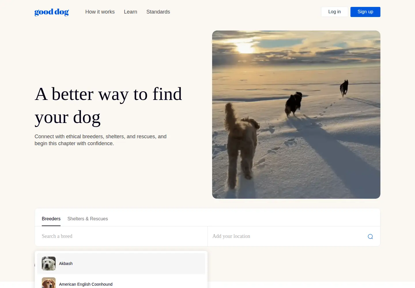 Screenshot of gooddog.com