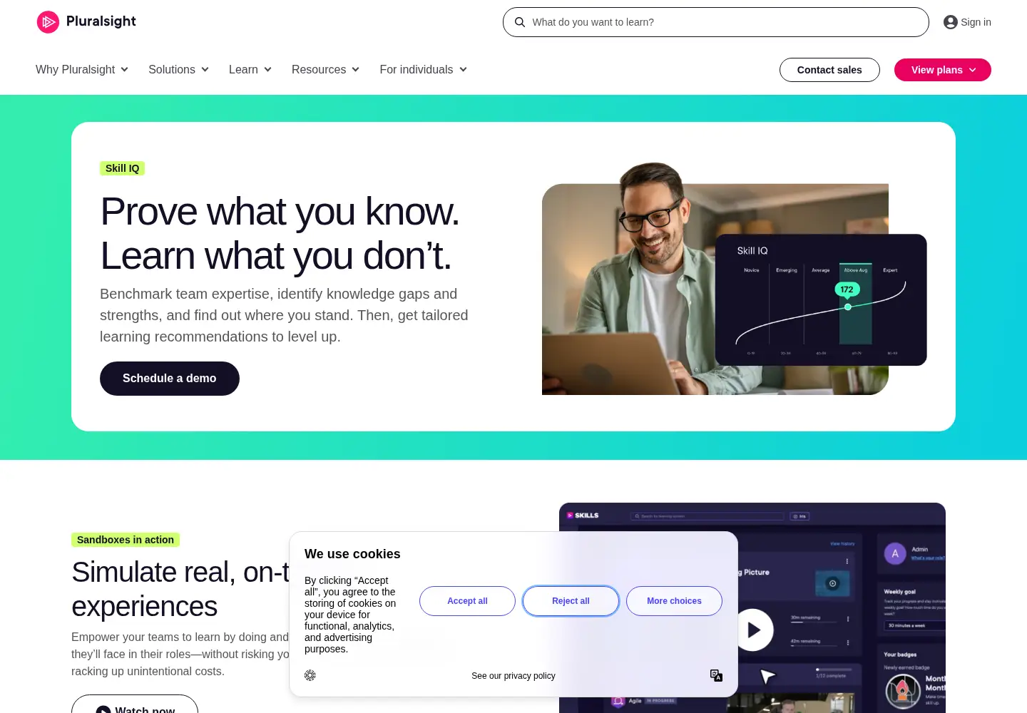 Screenshot of codeschool.com