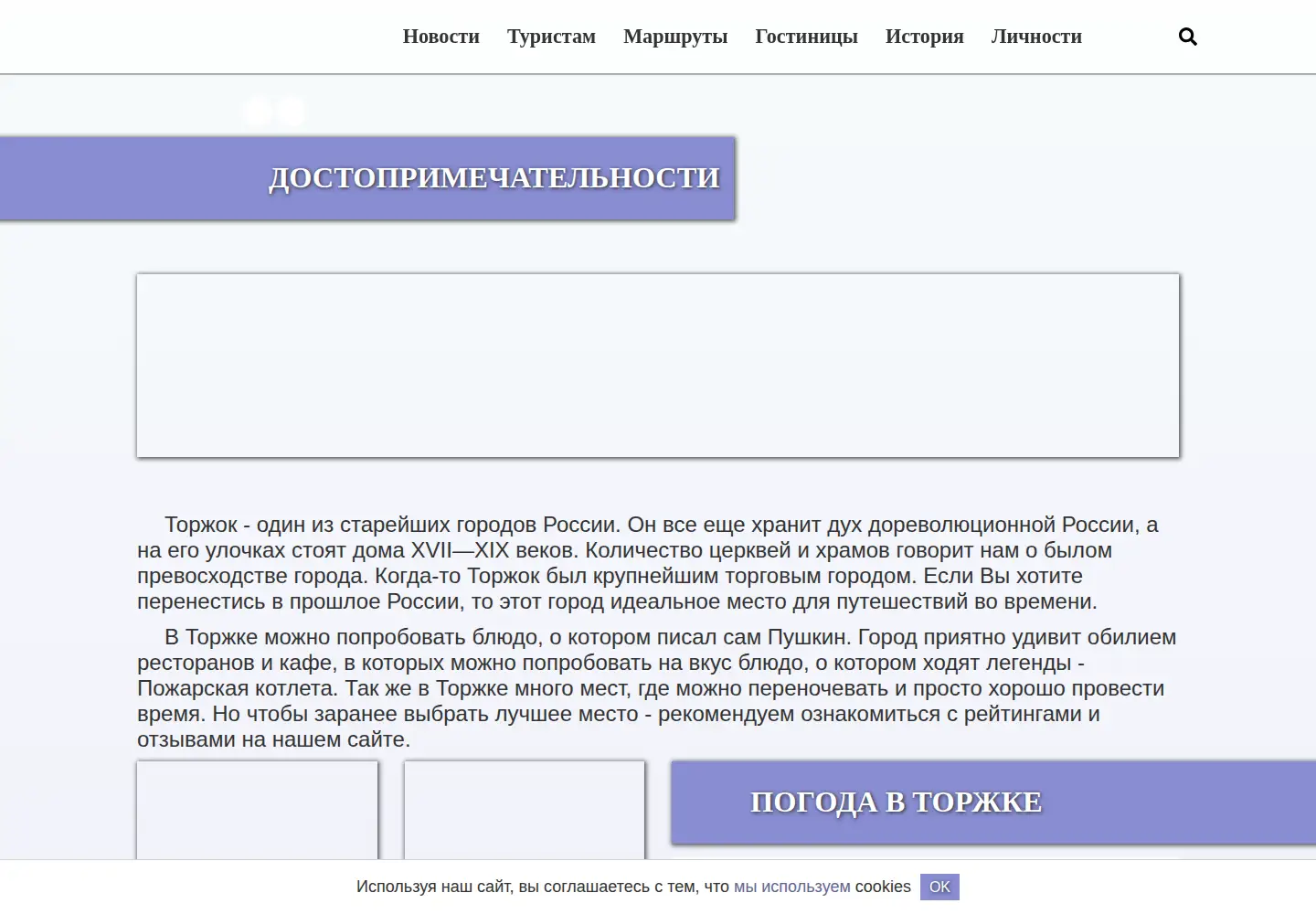 Screenshot of torzhok.pro