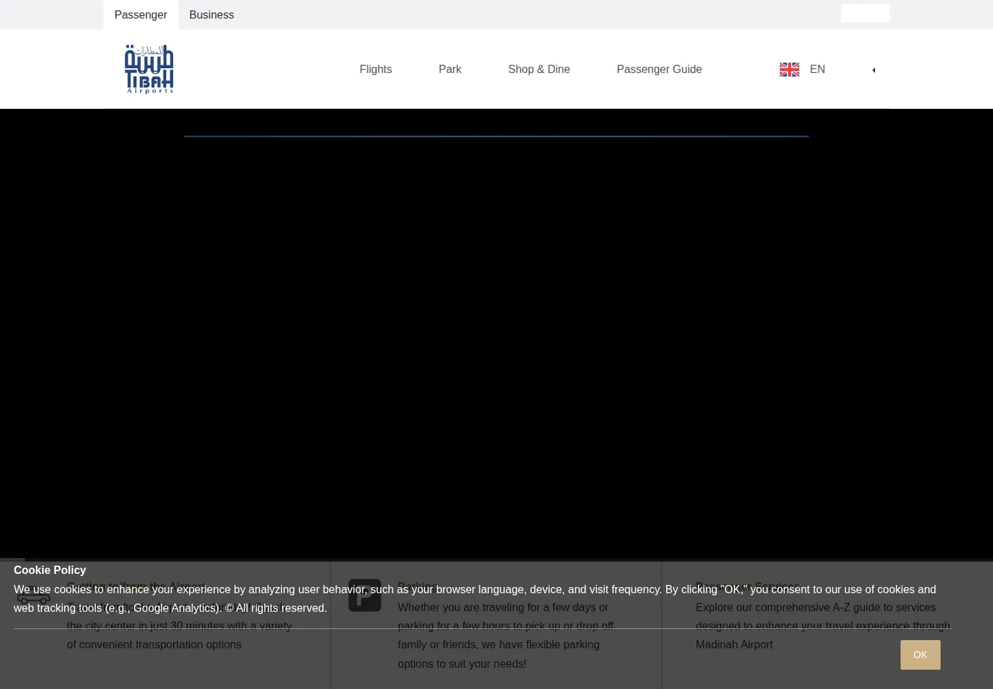 Screenshot of tibahairports.com