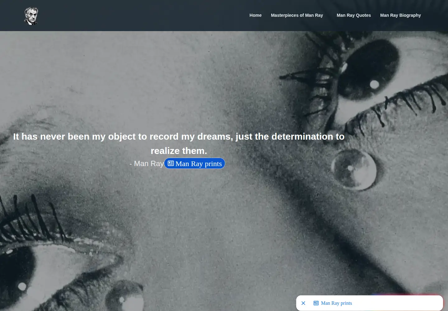 Screenshot of manray.net