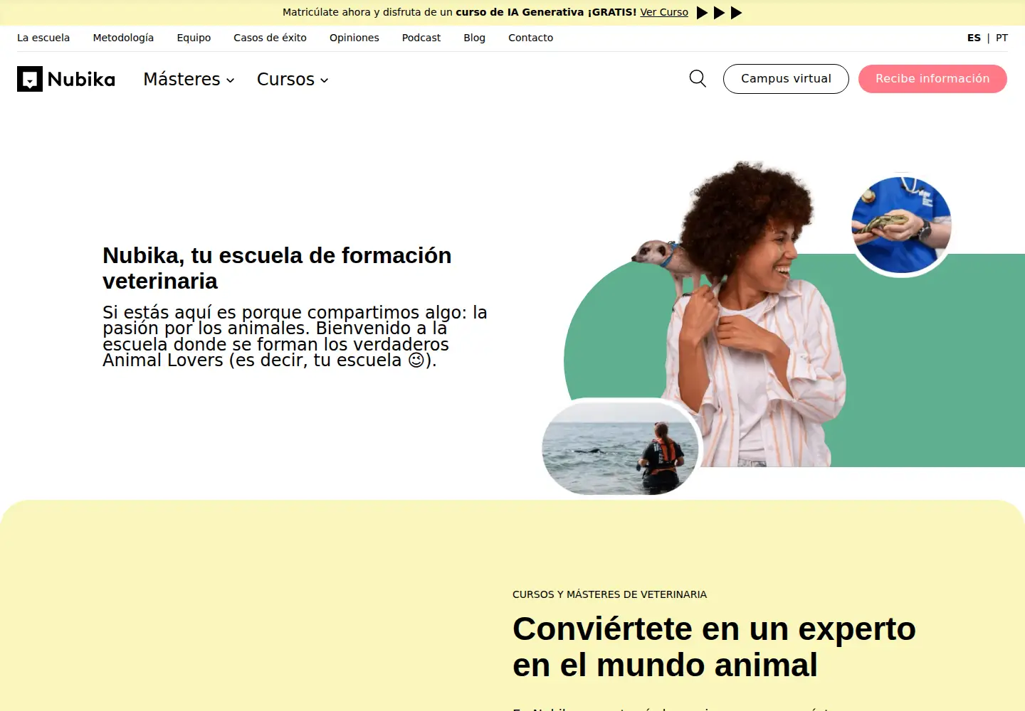 Screenshot of nubika.es