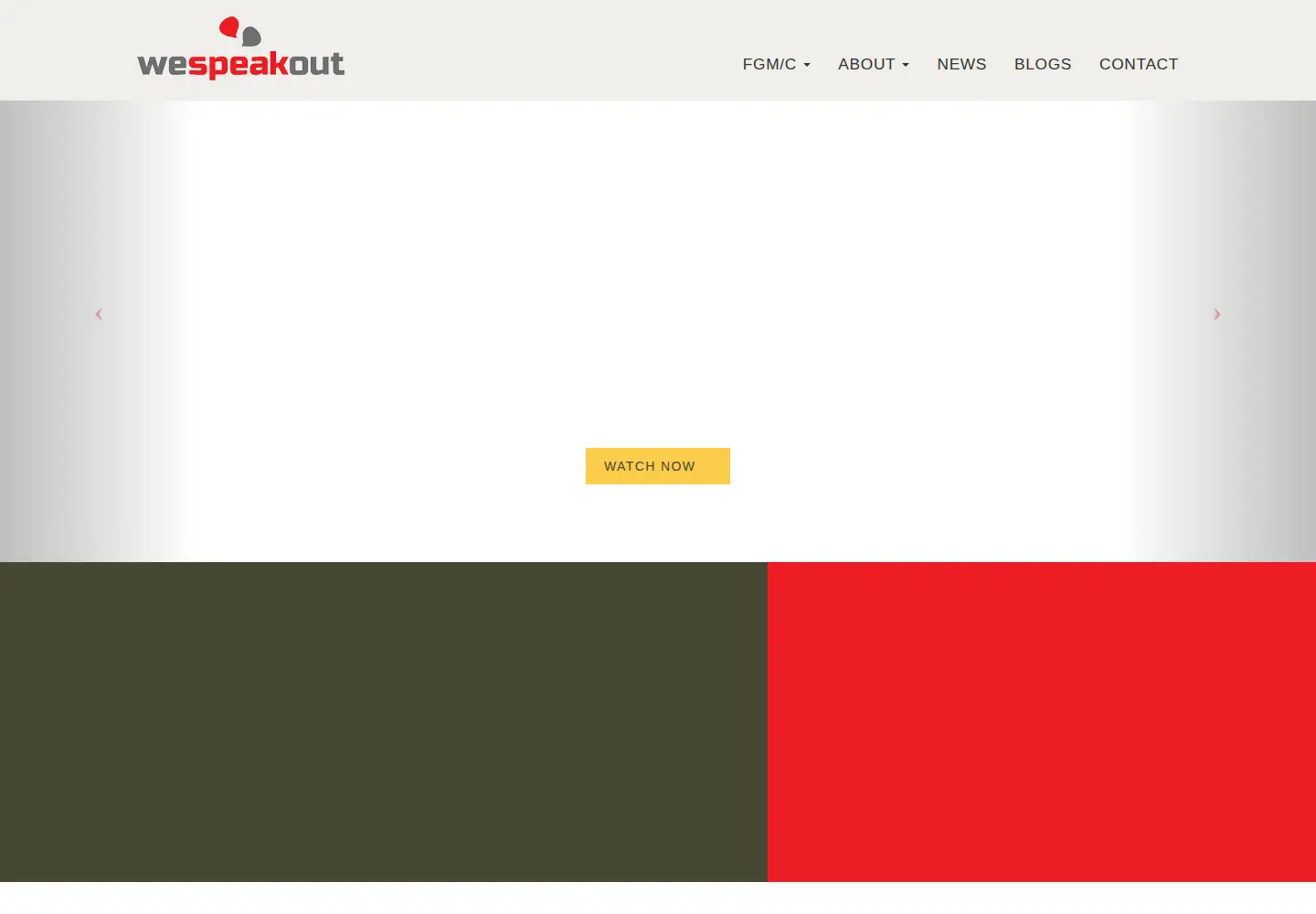 Captured homepage of wespeakout.org in the current scan