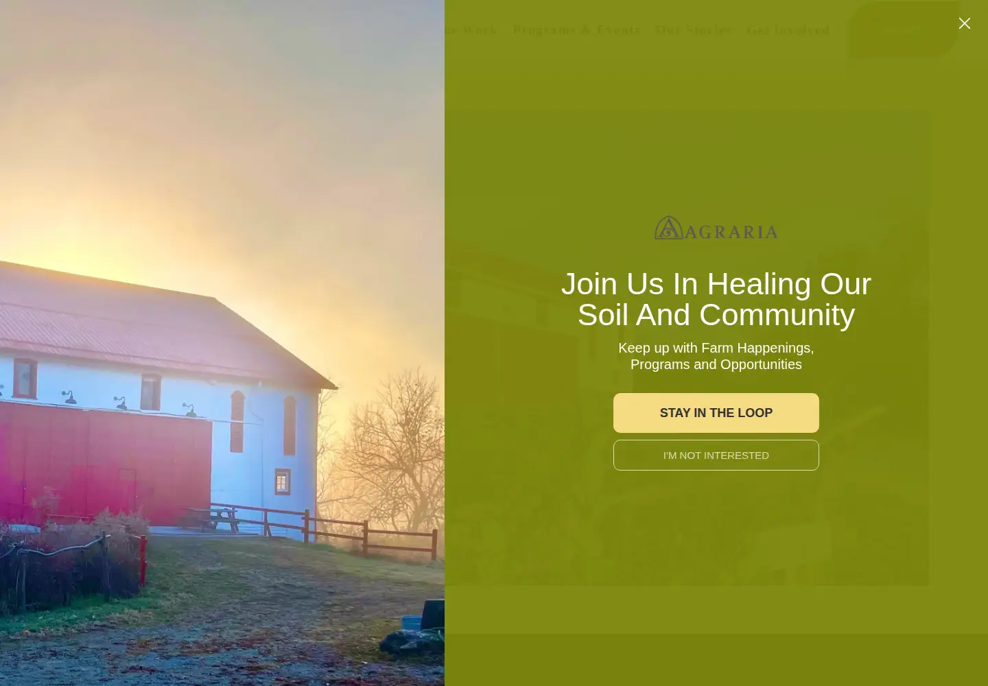 Captured homepage of communitysolution.org in the current scan