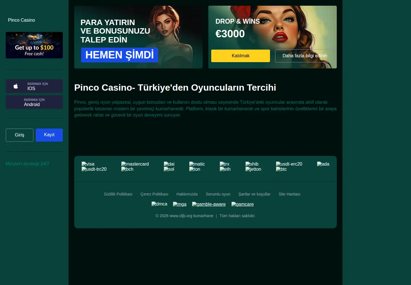 Screenshot of sfjb.org