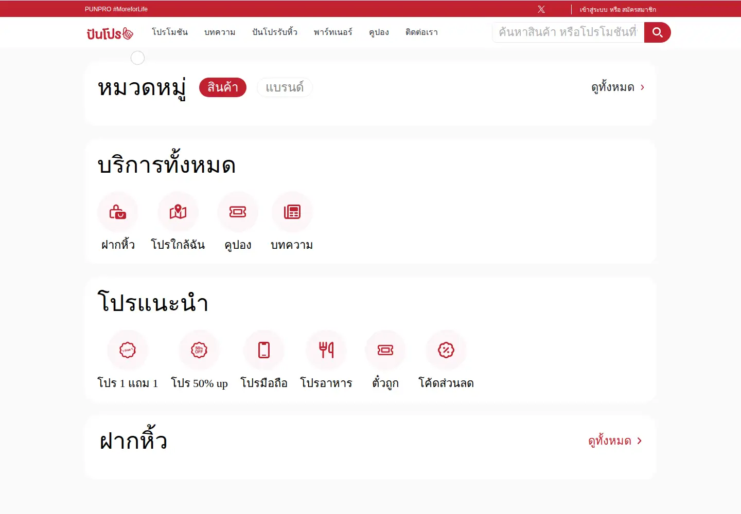 Captured homepage of punpro.com in the current scan