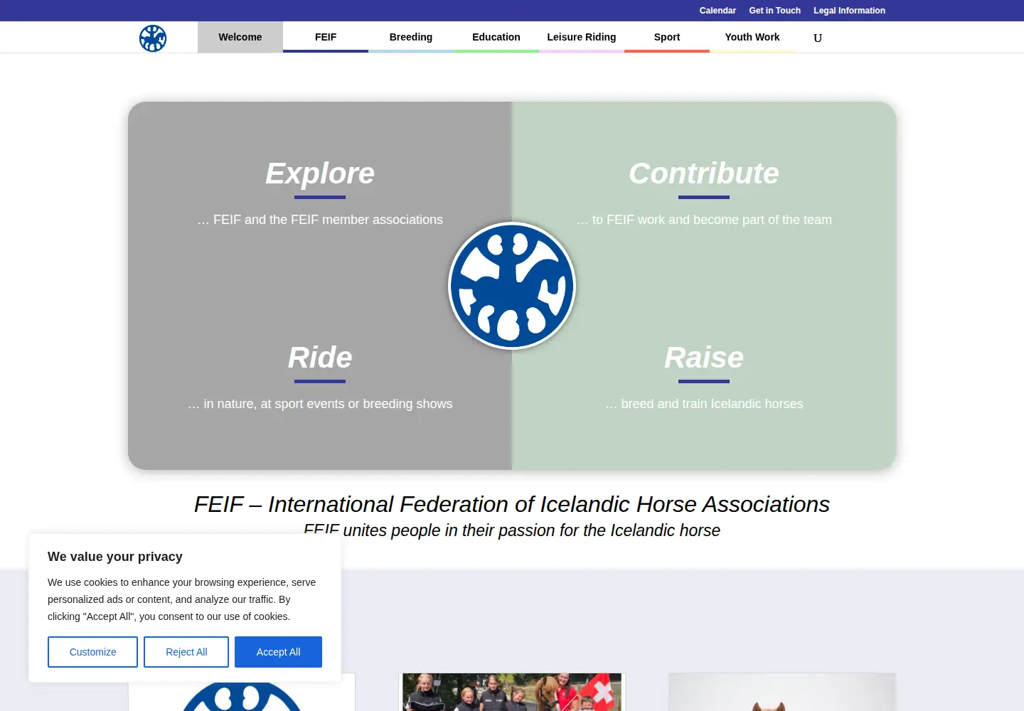 Screenshot of feif.org