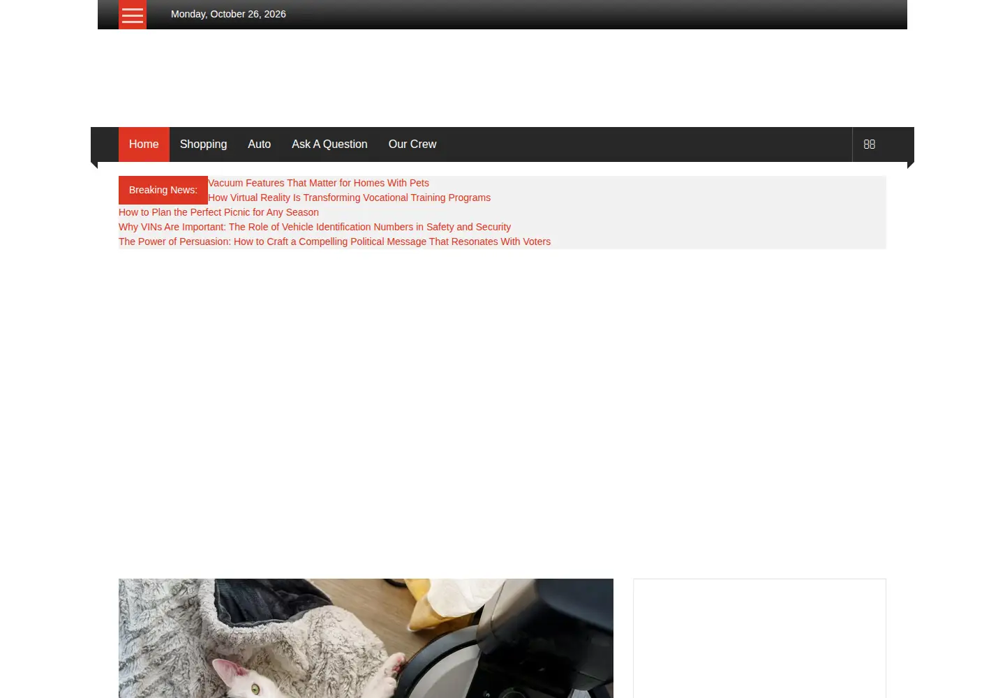 Screenshot of davidjaffe.biz