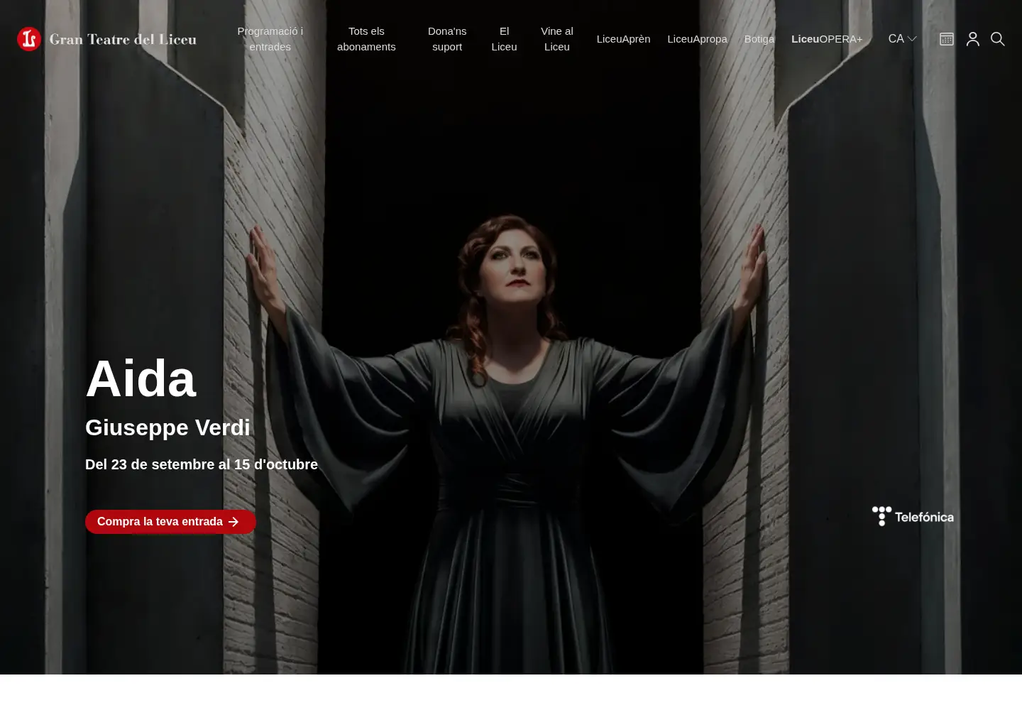 Screenshot of liceubarcelona.cat