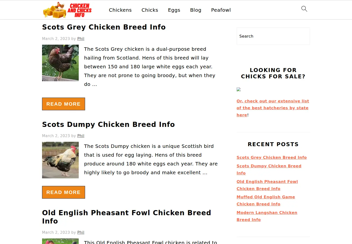 Screenshot of chickenandchicksinfo.com
