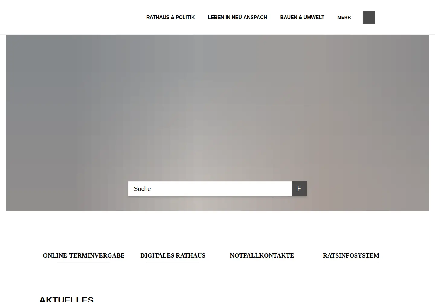 Screenshot of neu-anspach.de