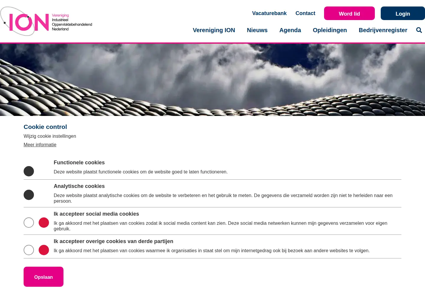 Screenshot of vereniging-ion.nl