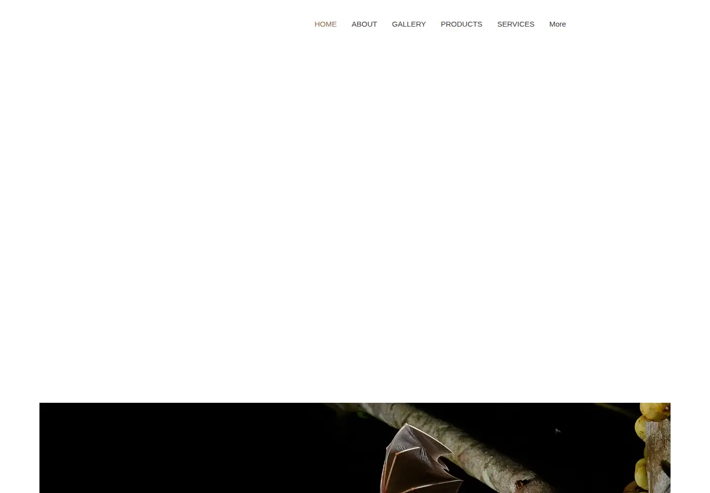 Screenshot of wildborneo.com.my