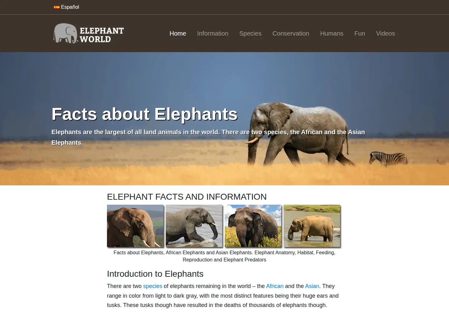 Screenshot of elephant-world.com