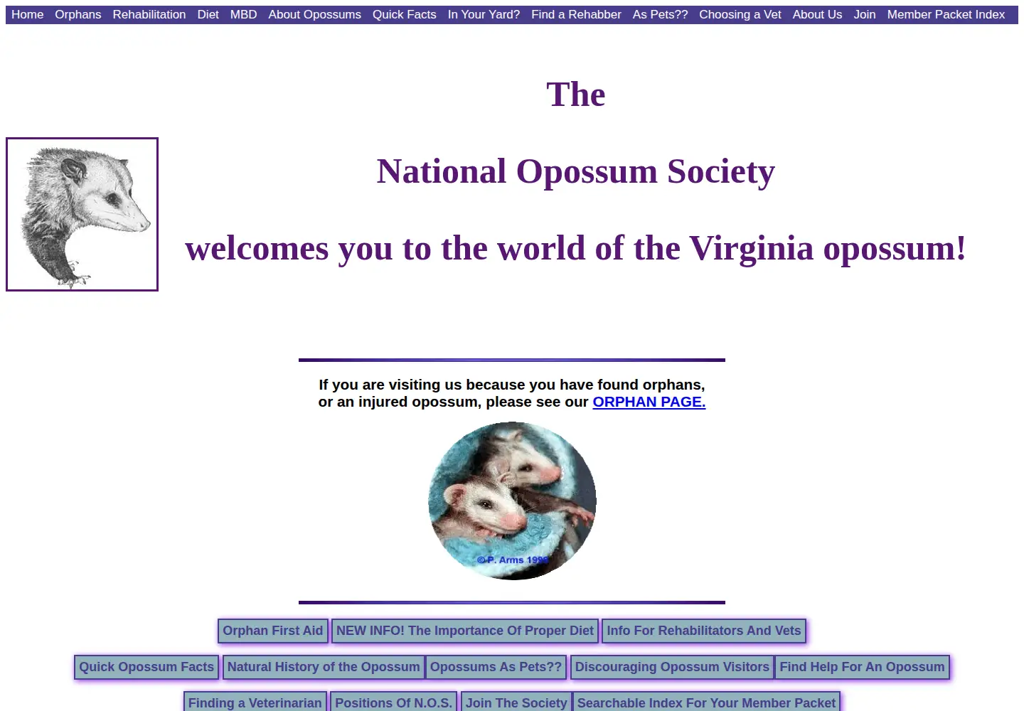 Captured homepage of opossum.org in the current scan
