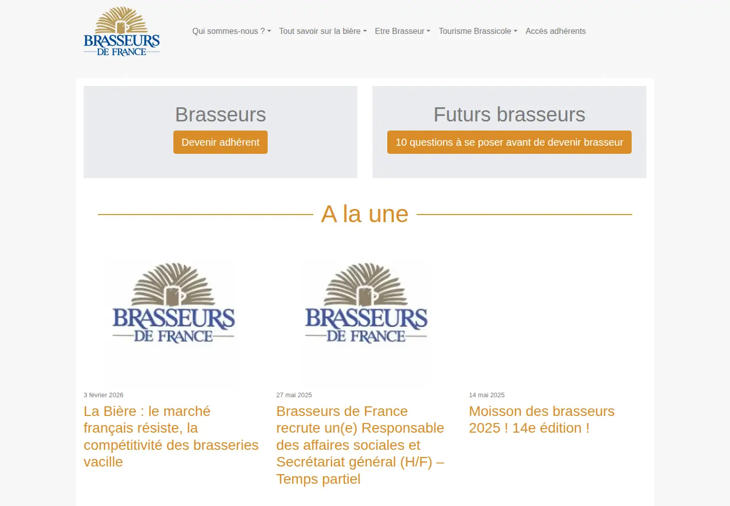 Screenshot of brasseurs-de-france.com