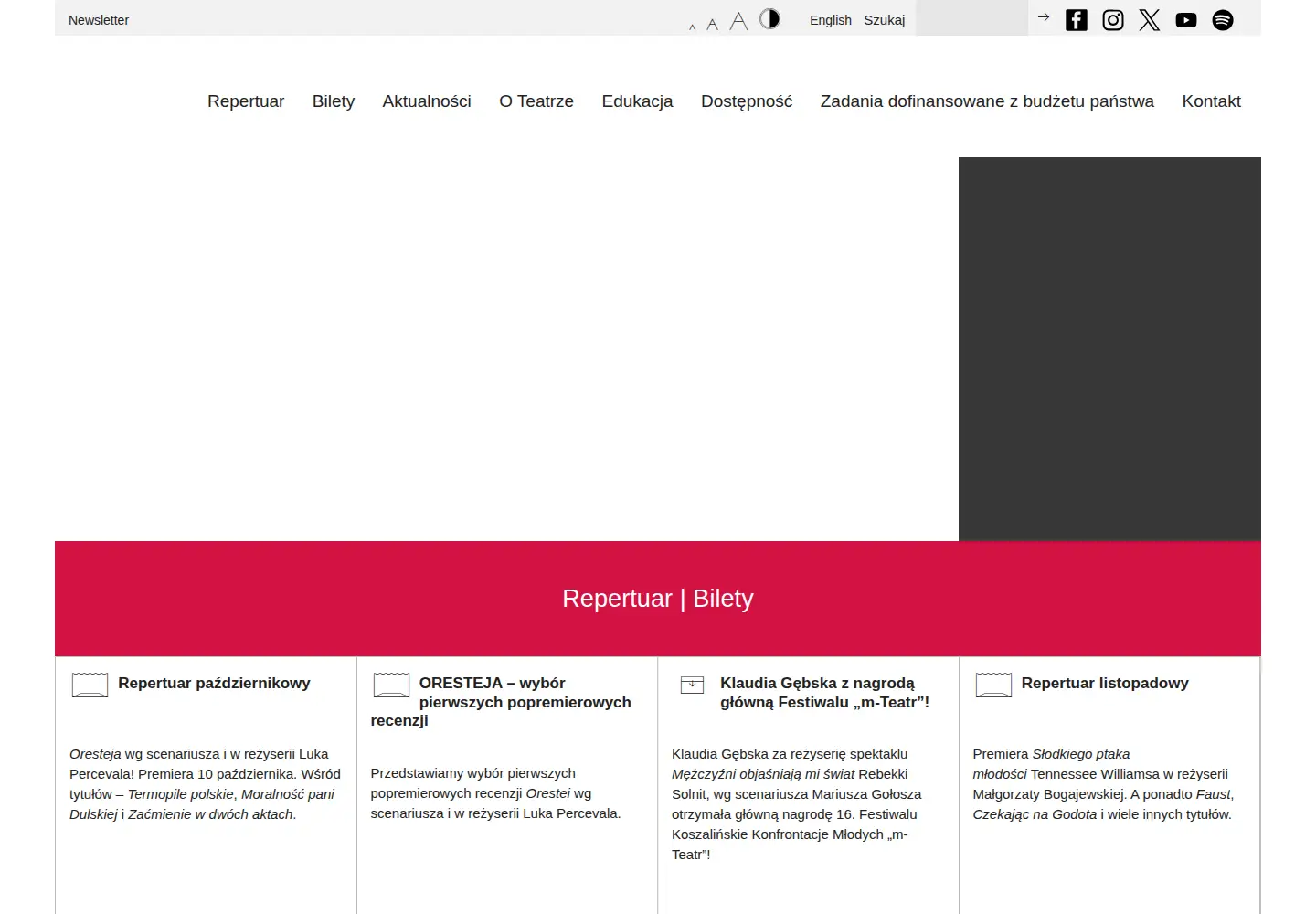 Screenshot of narodowy.pl