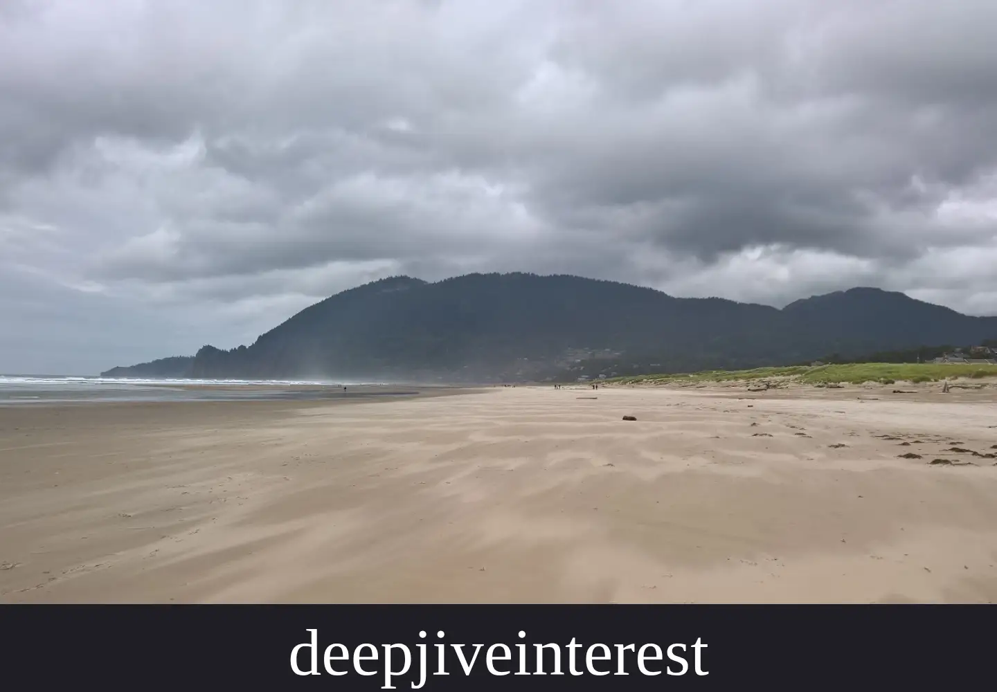 Screenshot of deepjiveinterests.com