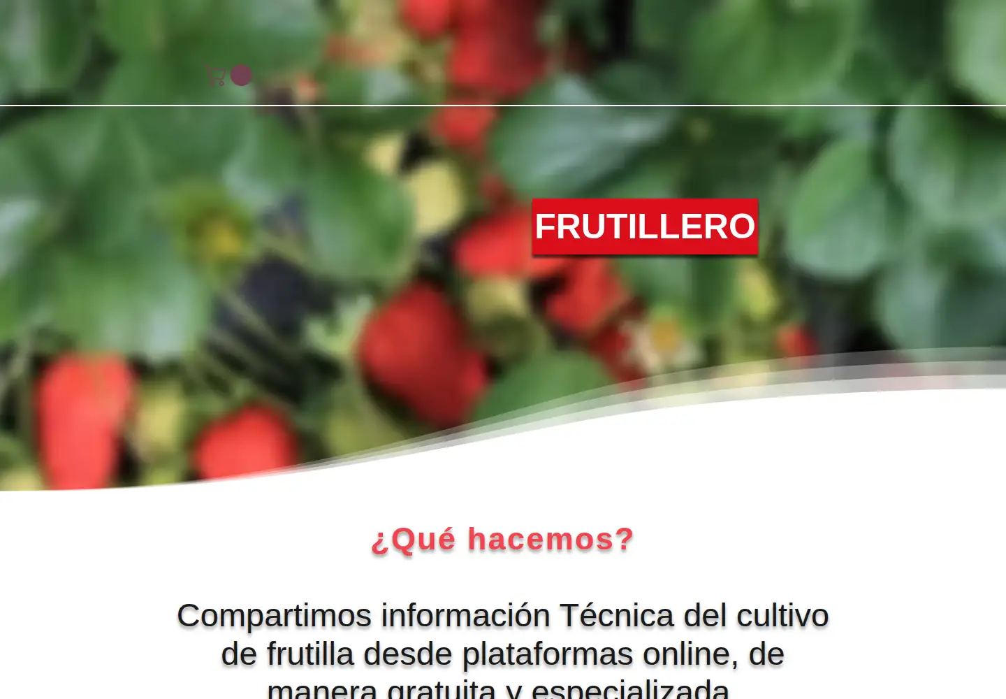 Screenshot of frutillasofresas.cl