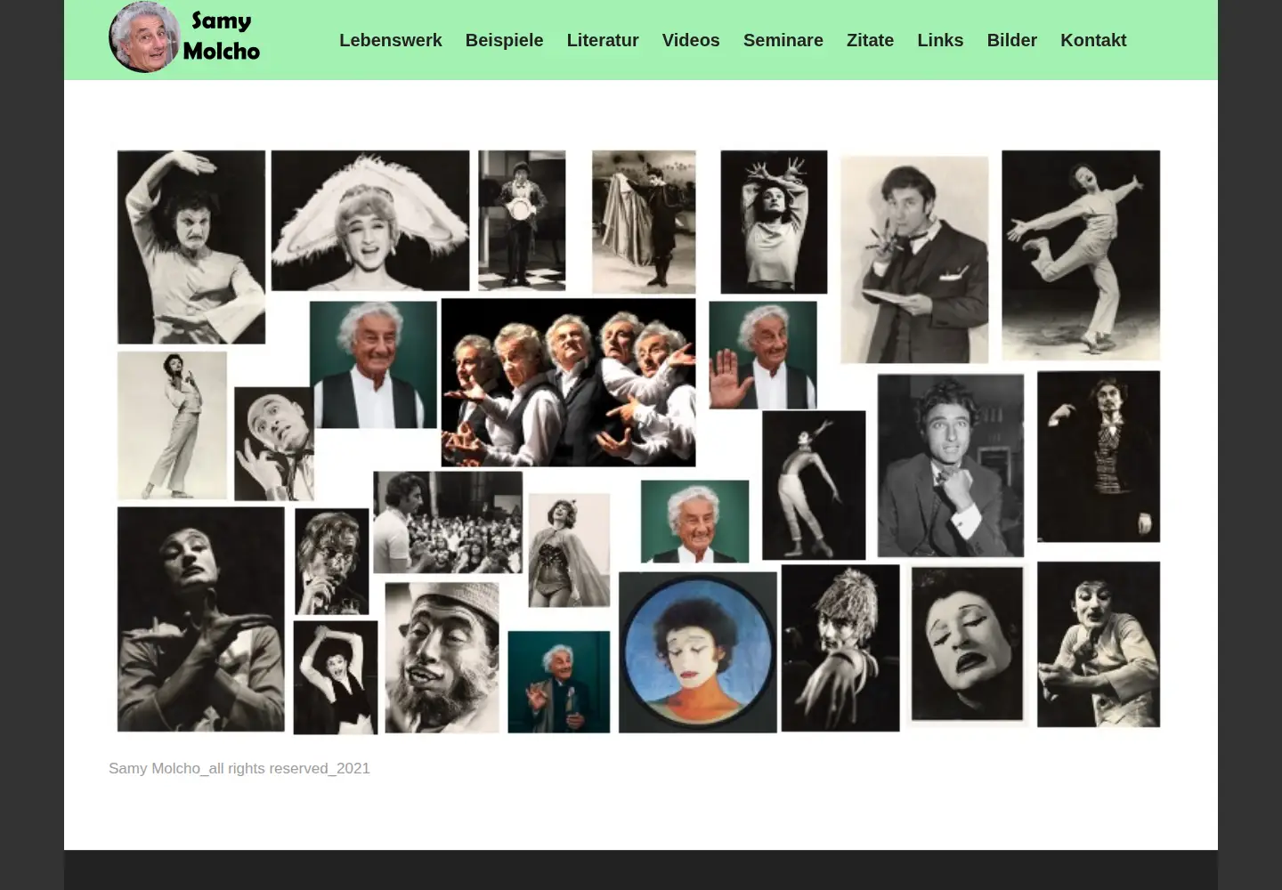 Captured homepage of samy-molcho.at in the current scan