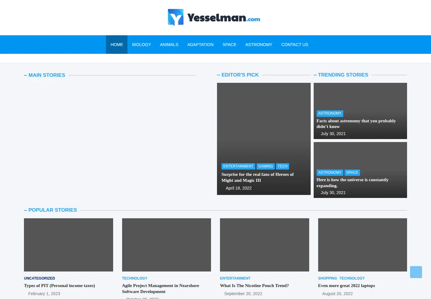 Screenshot of yesselman.com