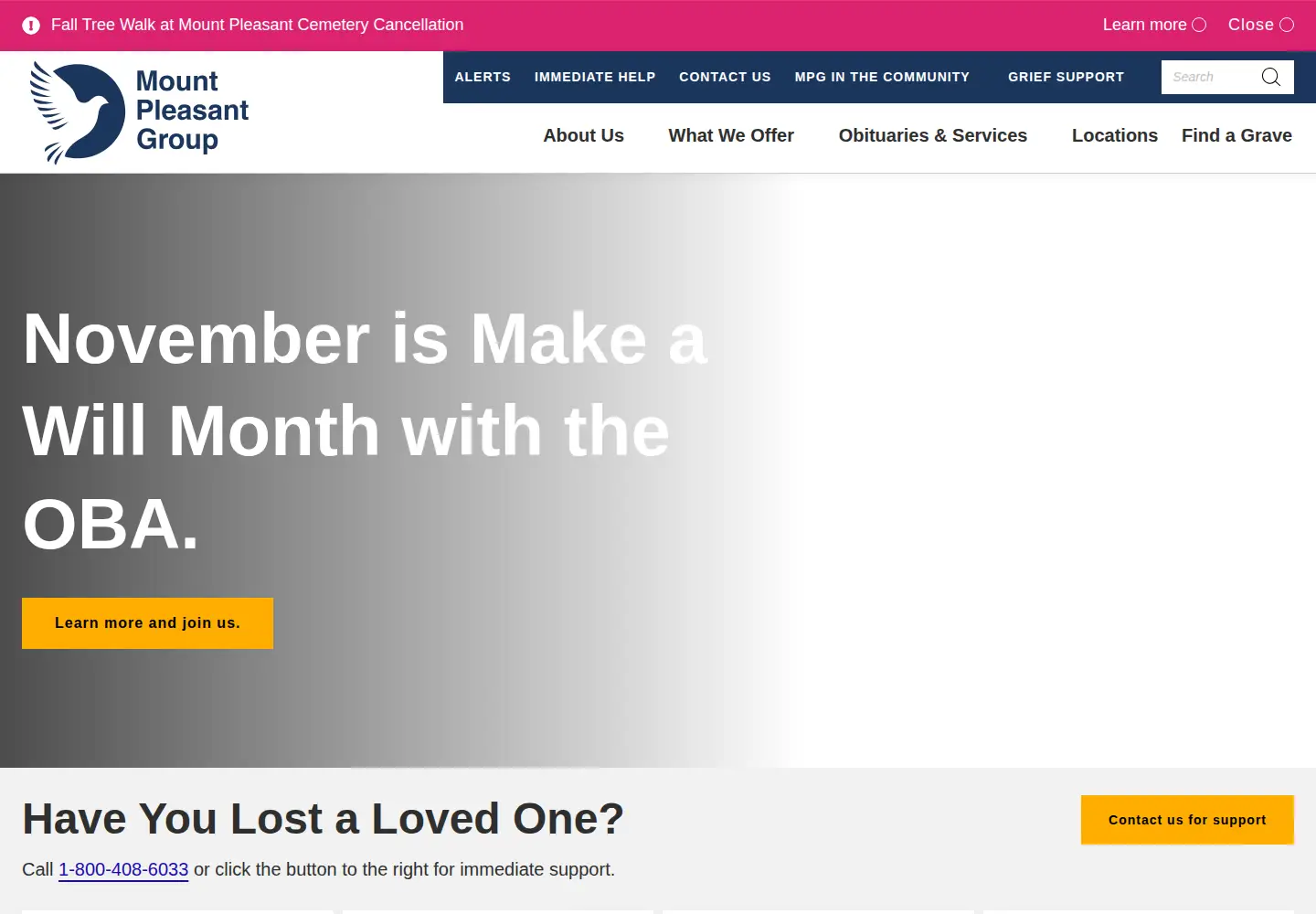 Screenshot of mountpleasantgroup.com