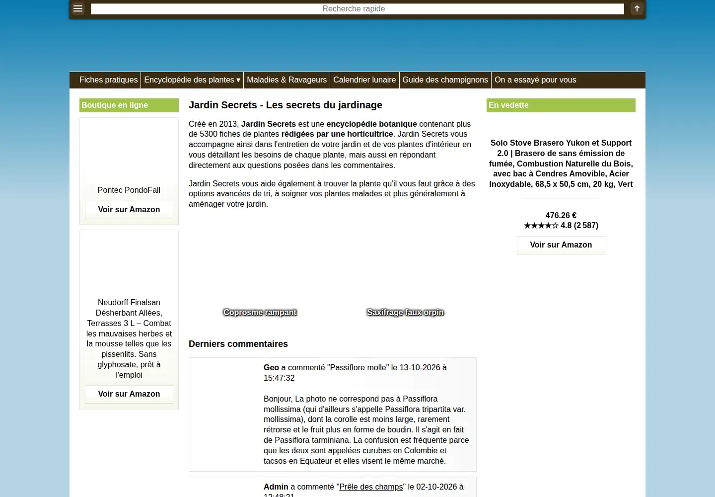 Captured homepage of jardin-secrets.com in the current scan