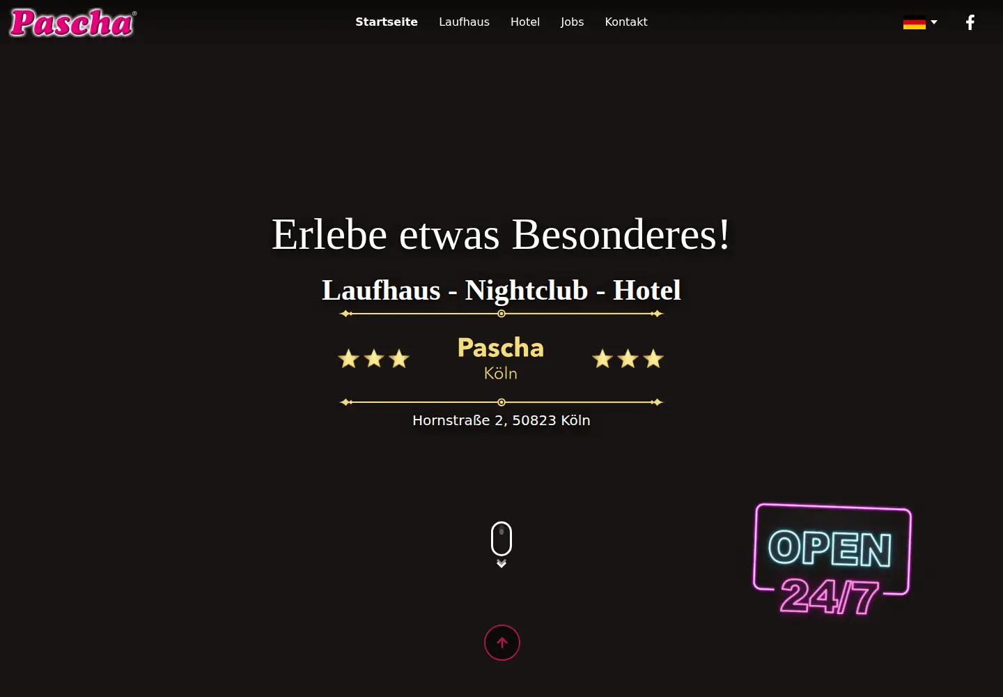 Captured homepage of pascha.de in the current scan