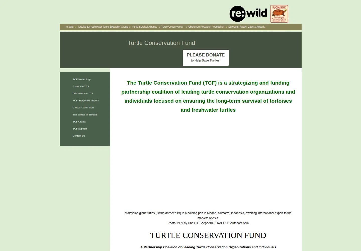 Captured homepage of turtleconservationfund.org in the current scan