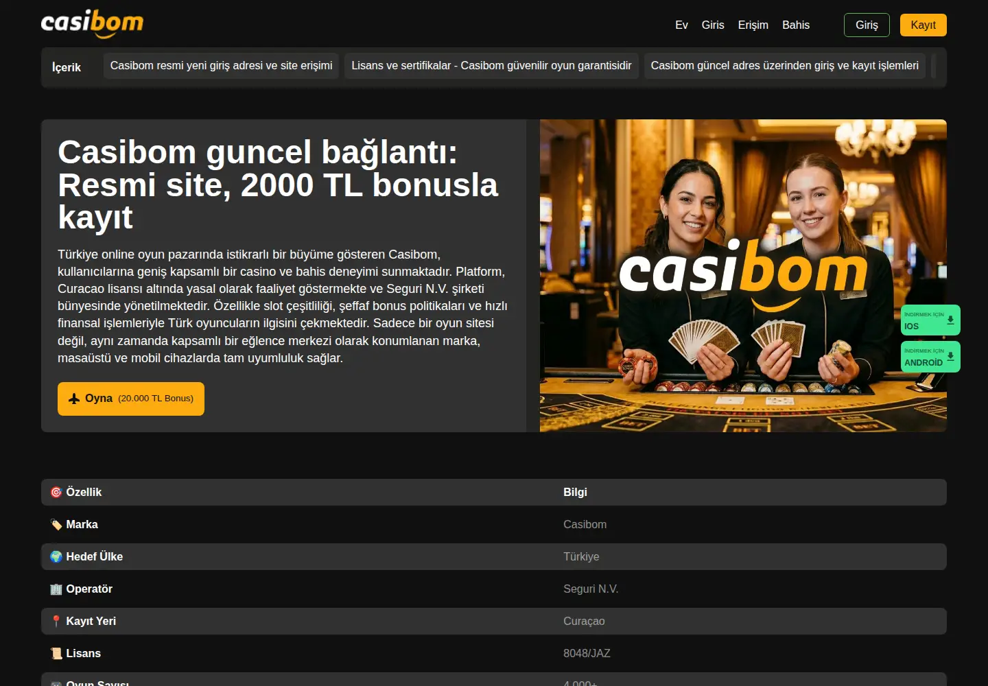 Screenshot of constitucion40.com