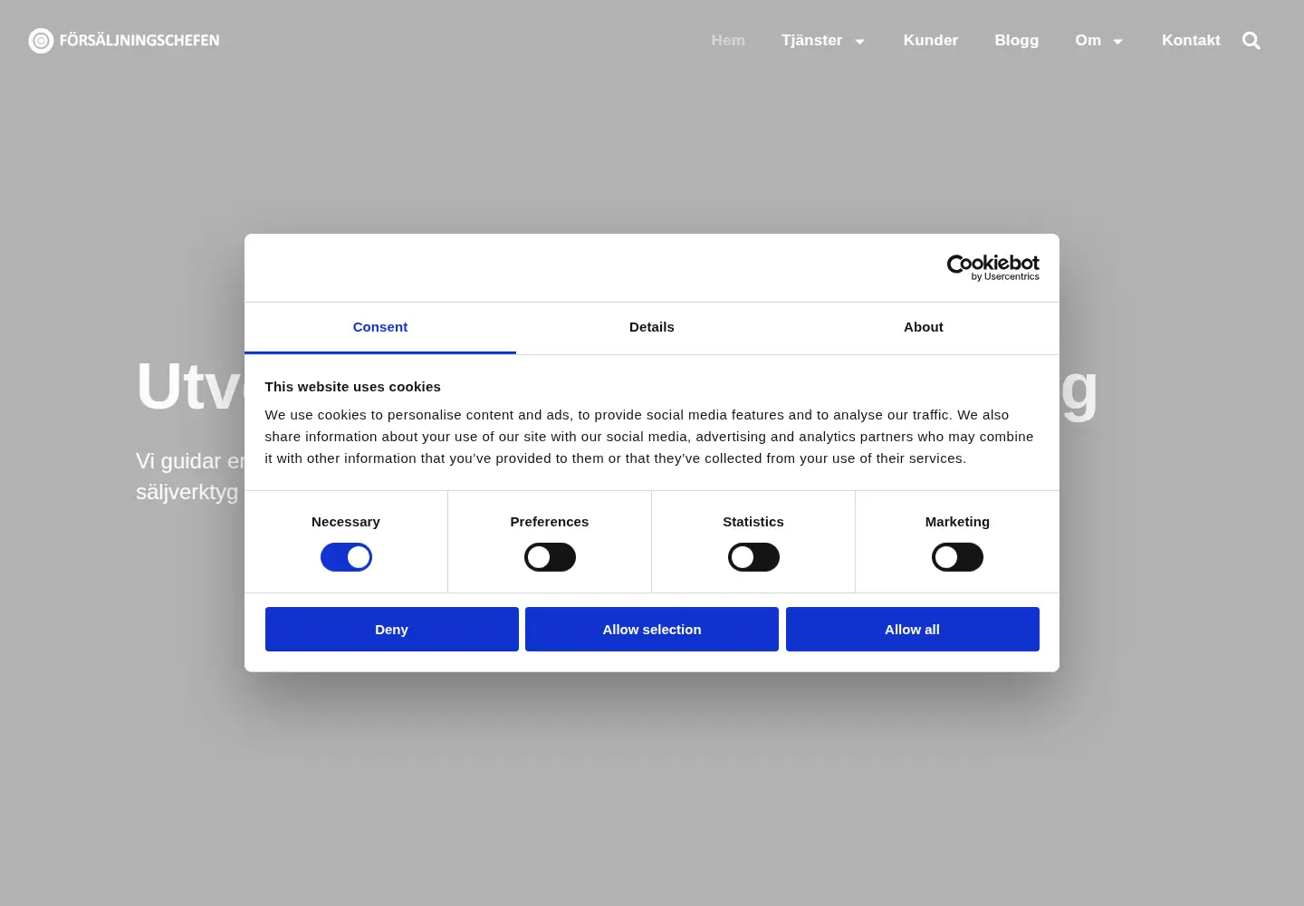 Screenshot of forsaljningschefen.se