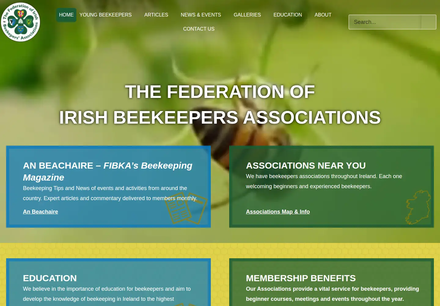 Captured homepage of irishbeekeeping.ie in the current scan