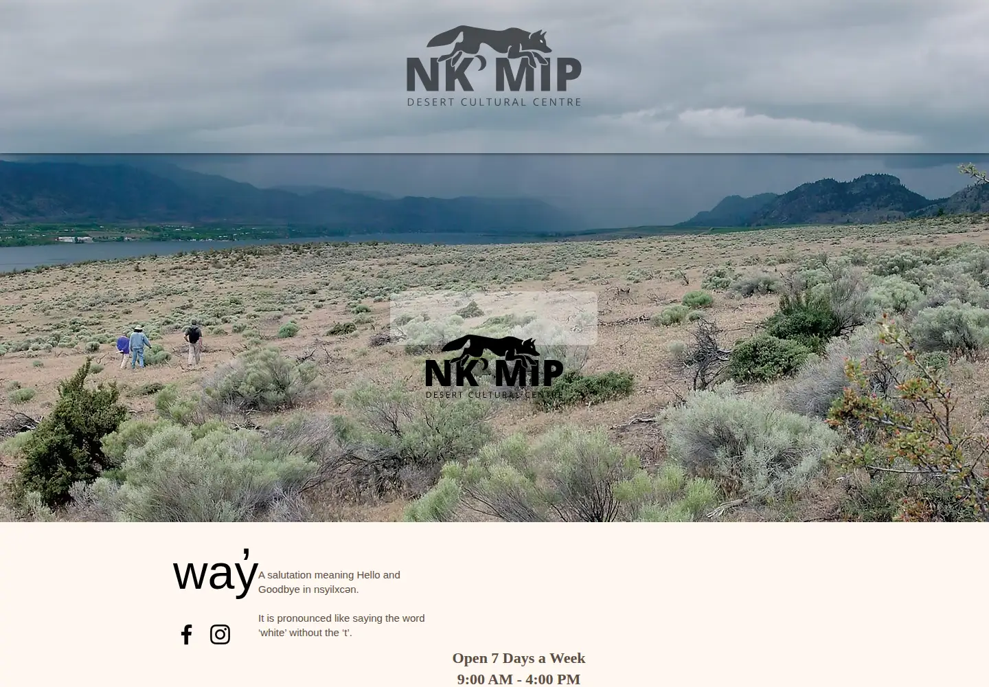Screenshot of nkmipdesert.com