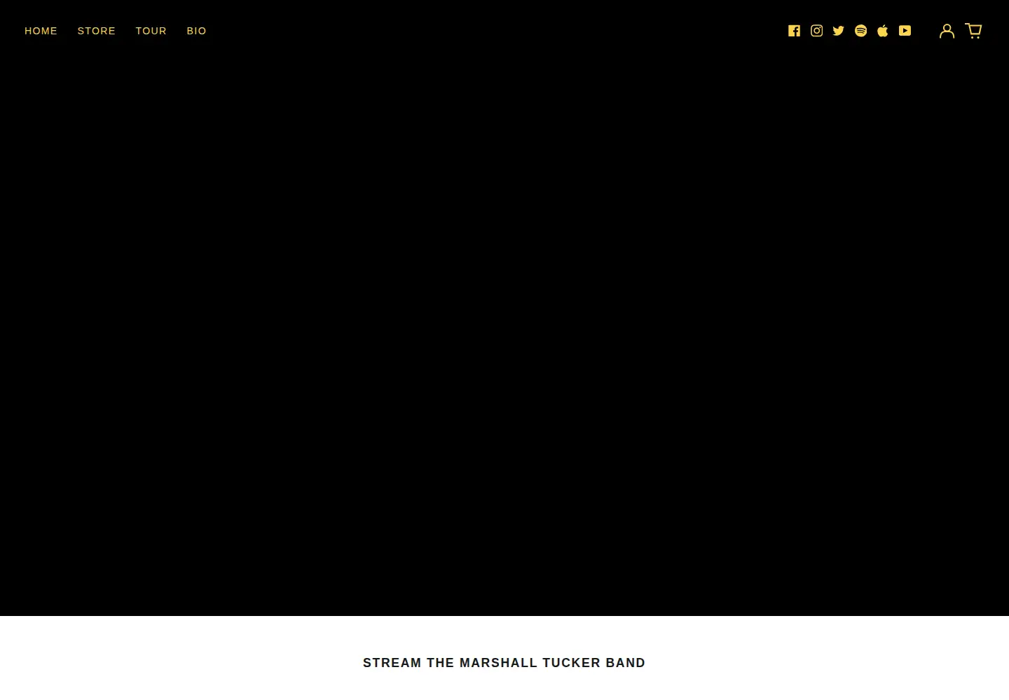 Captured homepage of marshalltucker.com in the current scan