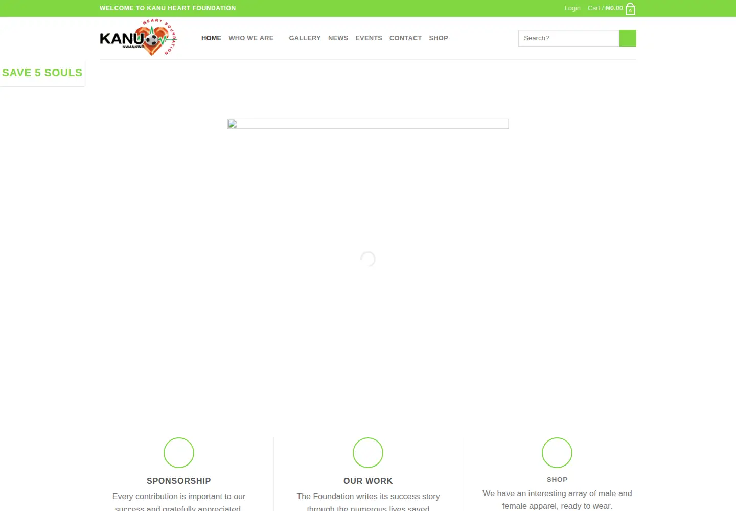 Screenshot of kanuheartfoundationng.com