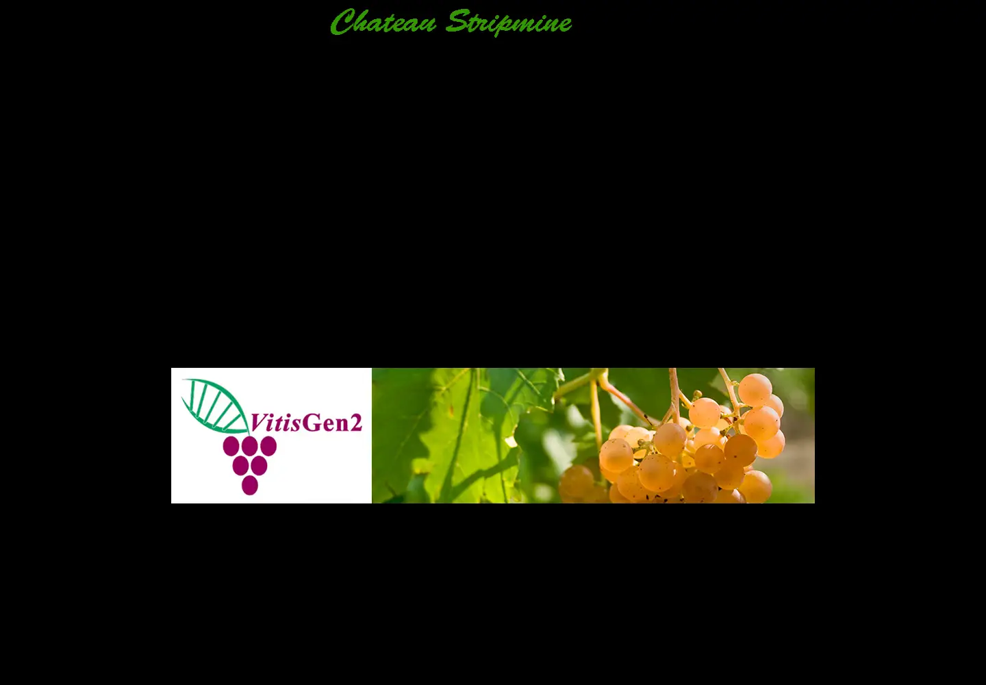 Screenshot of chateaustripmine.info