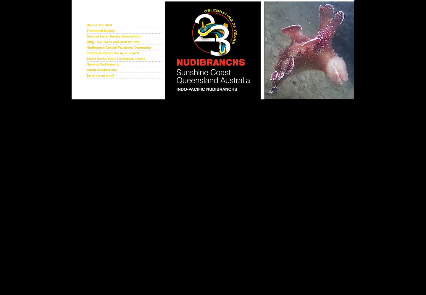 Captured homepage of nudibranch.com.au in the current scan