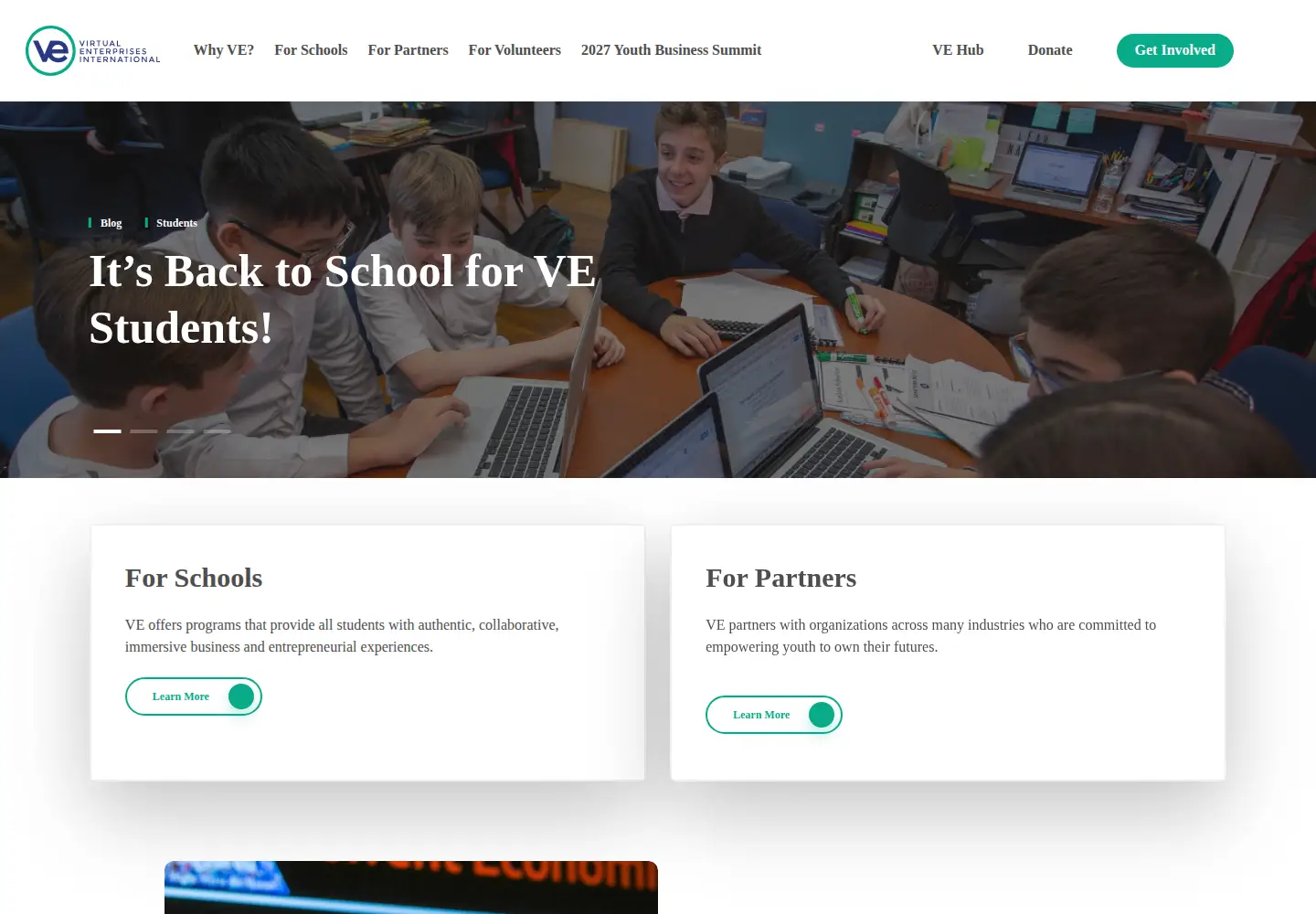 Screenshot of veinternational.org