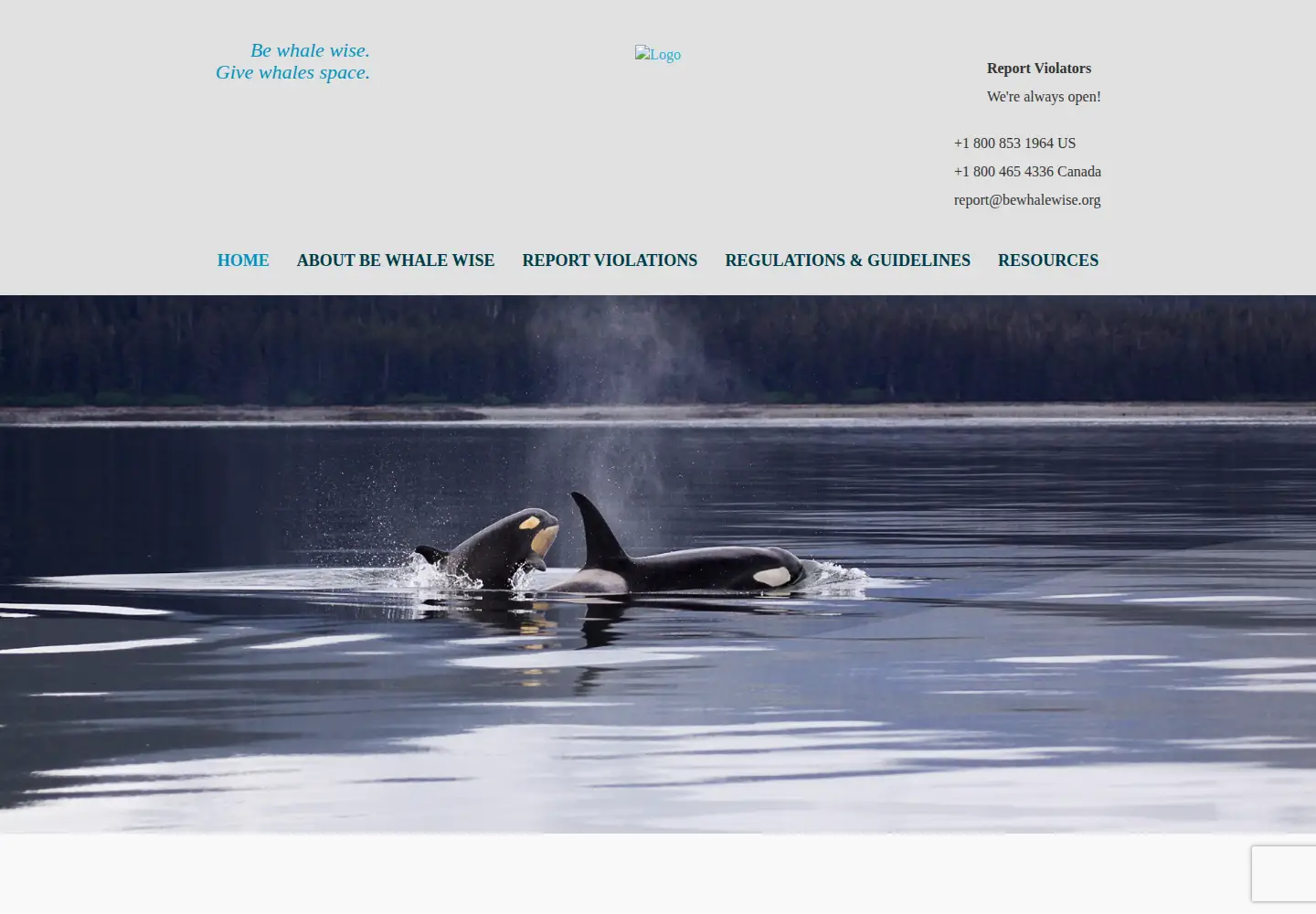 Screenshot of bewhalewise.org