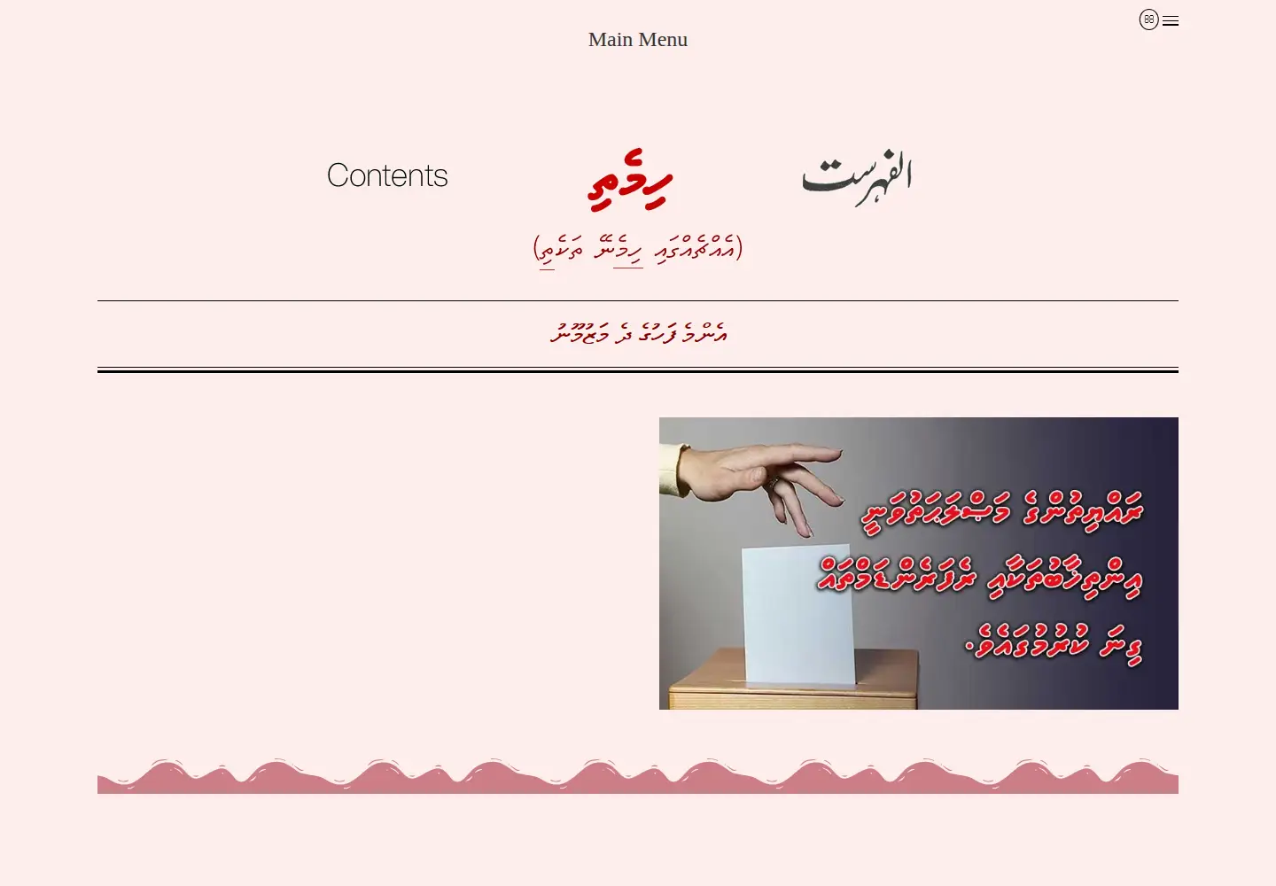 Captured homepage of hassanhameed.com in the current scan