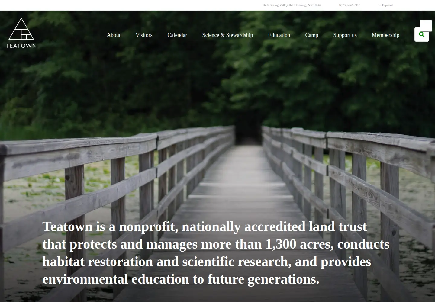 Screenshot of teatown.org