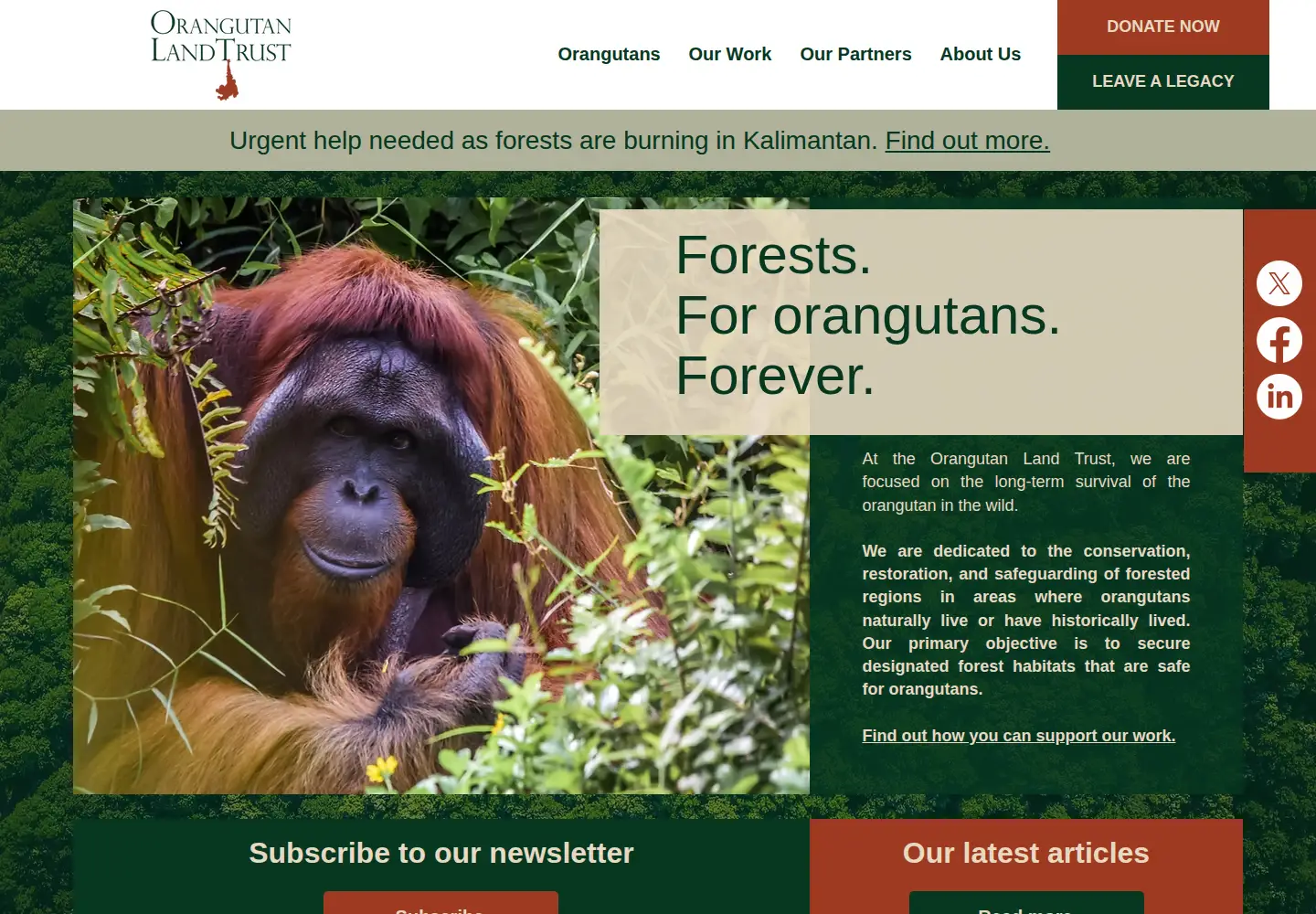 Captured homepage of forests4orangutans.org in the current scan