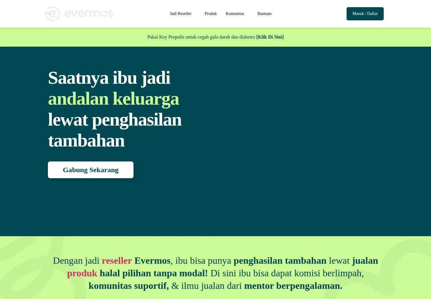 Screenshot of evermos.com